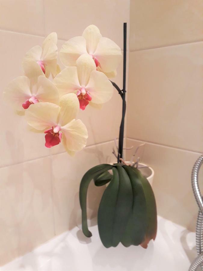 Apartament Opera * Sopot